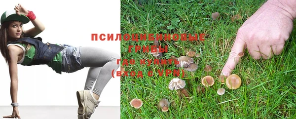 jwh Богданович