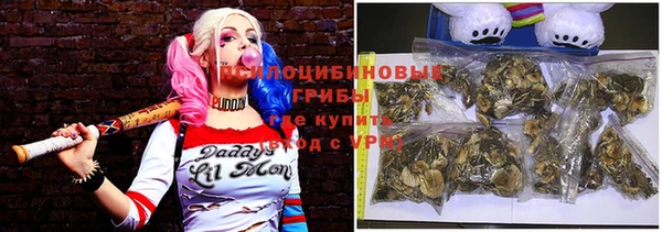 PSILOCYBIN Белокуриха