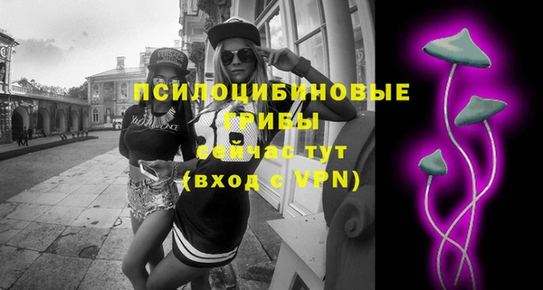 хмурый Богородицк
