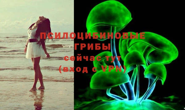 2c-b Беломорск