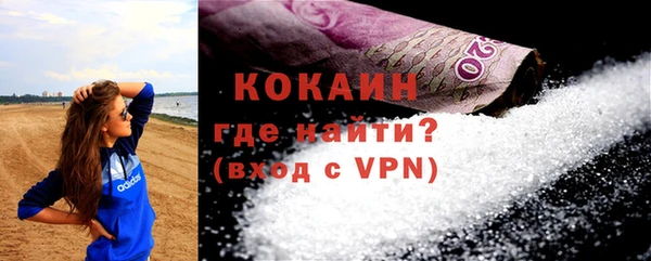 PSILOCYBIN Белокуриха