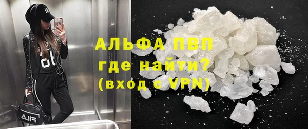 PSILOCYBIN Белокуриха