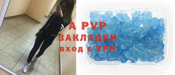 PSILOCYBIN Белокуриха